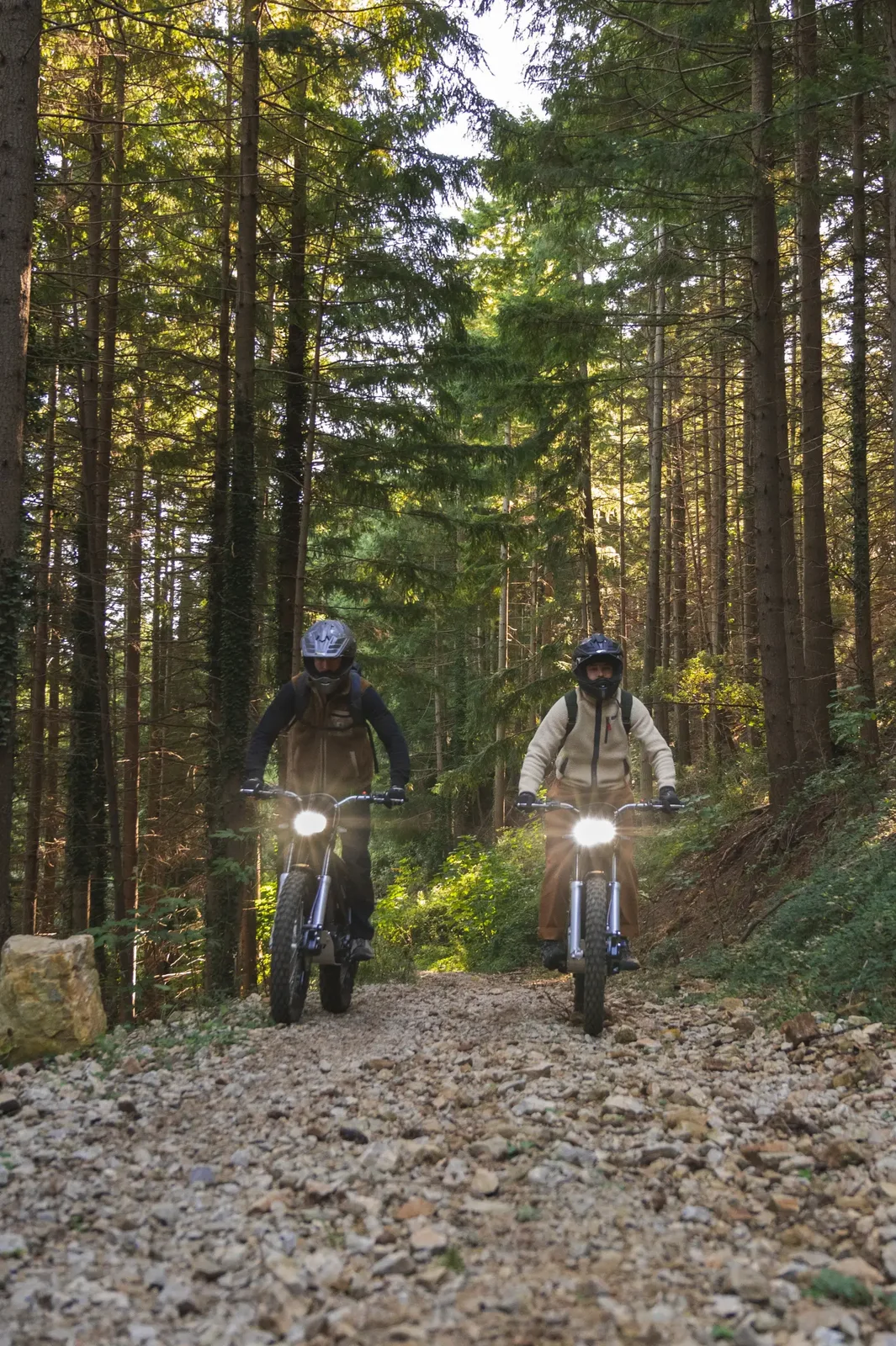 Электропитбайк Electric Motion Escape SE (Электрик Моушн Ескапе Эс-И), фото модели