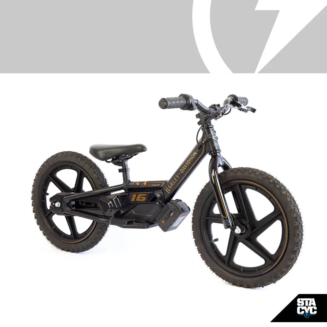 Детский STACYC H-D 16eDRIVE Brushless (Стэйсик Х-Д 16едриве Брушлесс), фото модели