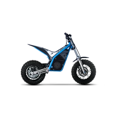 Детский Torrot Trial Tr1 (Торрот Триал Тр1), фото модели